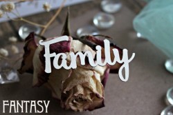 Чипборд Fantasy надпись "Family 1050" размер 6*3,5 см