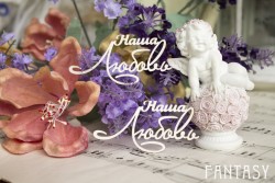 Чипборд Fantasy надпись "Наша любовь 035" размер 7*3.5 см 2шт