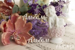 Чипборд Fantasy надпись "Альбом 016" размер 5*1.4 см 2 шт
