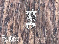 Чипборд Fantasy «Анатомия человека 2539» размер 8,7*4,8 см