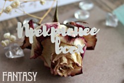 Чипборд Fantasy надпись "Прекраснее всех 998", размер 2,8*7,2 см