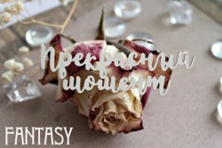 Чипборд Fantasy надпись "Прекрасный момент 1029" размер 2,7*8 см