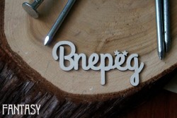 Чипборд Fantasy надпись "Вперед", размер 5,5*2.7 см