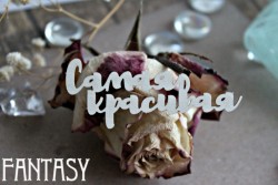 Чипборд Fantasy надпись "Самая красивая 1049" размер 2,7*6,8 см