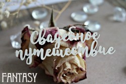 Чипборд Fantasy надпись "Свадебное путешествие 1034" размер 3,7*8,2 см