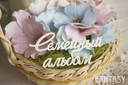 Чипборд Fantasy надпись "Семейный альбом 078" размер 9*4.2 см