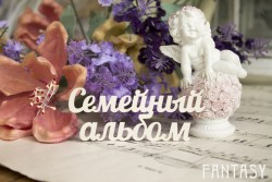 Чипборд Fantasy надпись "Семейный альбом 079" размер 8.5*3.5 см