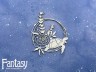 Чипборд Fantasy «Теплое море (Морская рамка с черепашкой) 2905» размер 7*8,7 см