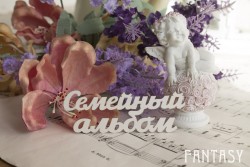 Чипборд Fantasy надпись "Семейный альбом 085" размер 8.5*3 см