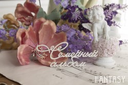 Чипборд Fantasy надпись "Семейный альбом 086" размер 8*3.5 см