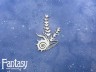 Чипборд Fantasy «Теплое море (Растения и ракушки) 2890» размер 5,6*9,1 см
