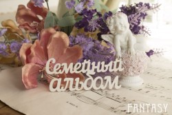 Чипборд Fantasy надпись "Семейный альбом 088" размер 8.5*3.5 см